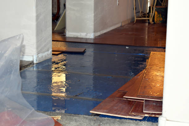 Professional Sewage Cleanup technician working in Lake, WV